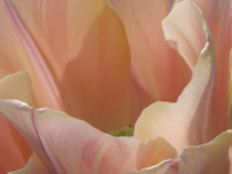 Preview - Click to zoom
